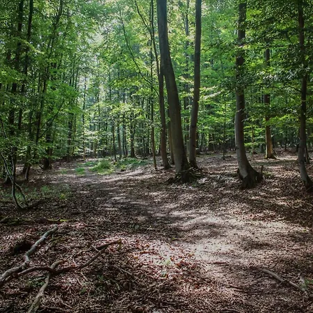 Cristina * Cappel (North Rhine-Westphalia)