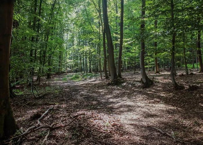 Cristina * Blomberg (North Rhine-Westphalia)